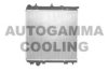 AUTOGAMMA 102989 Radiator, engine cooling